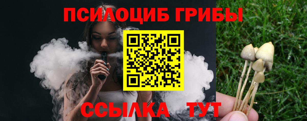 Псилоцибиновые грибы прущие грибы  Вход с VPN  Саяногорск  Псилоцибиновые грибы Psilocybine cubensis 