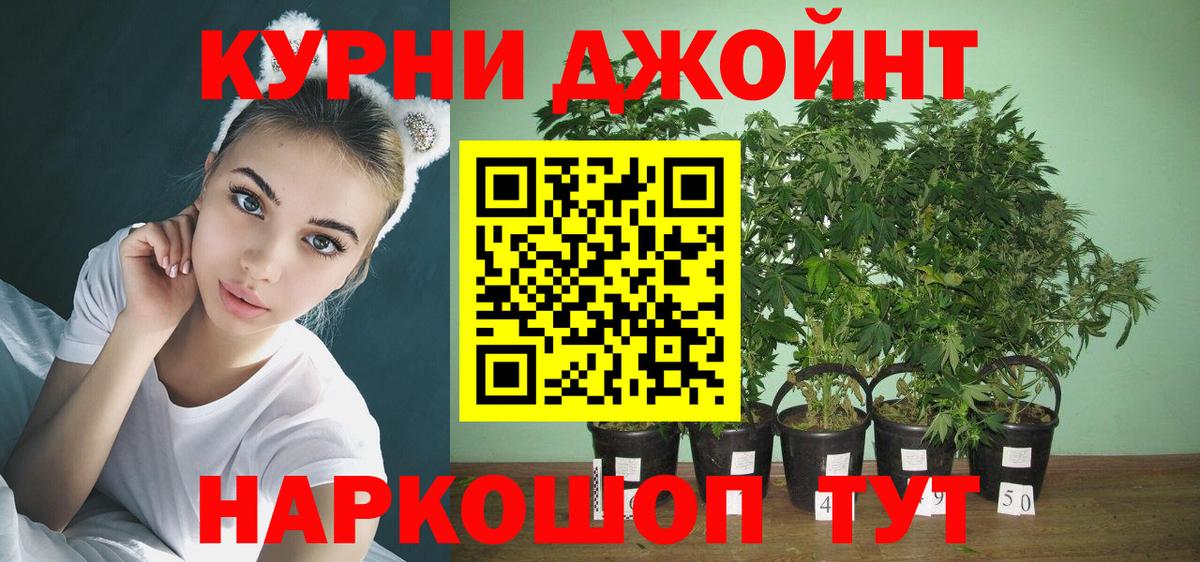 Шишки марихуана планчик Саяногорск
